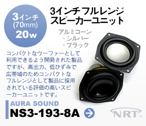 RpNgtWXs[J[ AURASOUND NS3-193-8A