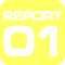 REPORT 01