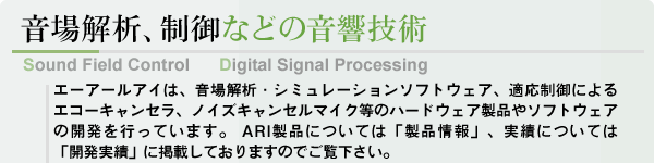 ́AȂǂ̉Zp / Sound Field Control / Digital Signal Processing